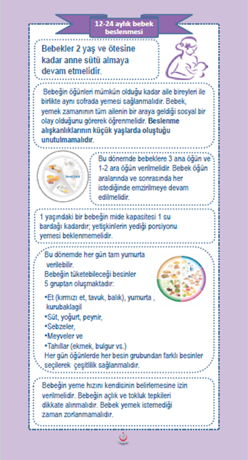 12-24 aylık bebek beslenmesi