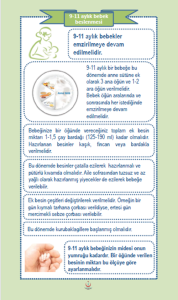 9-11 aylık bebek beslenmesi