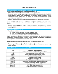SBC İpucu Sayfası